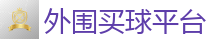 2026世界杯 (FIFA WorldCUP)中国下注指定网站